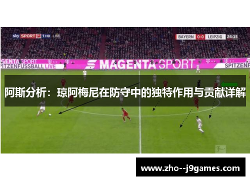 阿斯分析：琼阿梅尼在防守中的独特作用与贡献详解